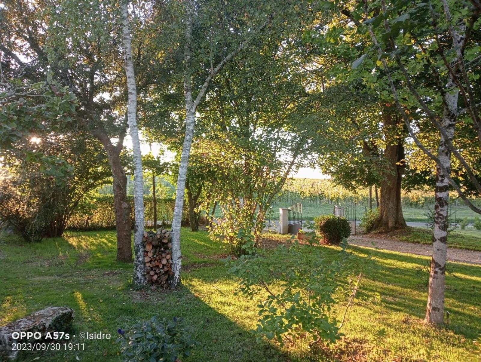 Вилла La Demeure D'Ezilda Fleac-sur-Seugne Экстерьер фото